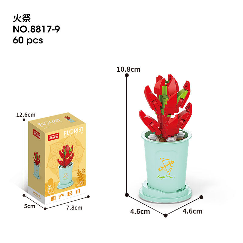 Flower Blocks-Constellation plants