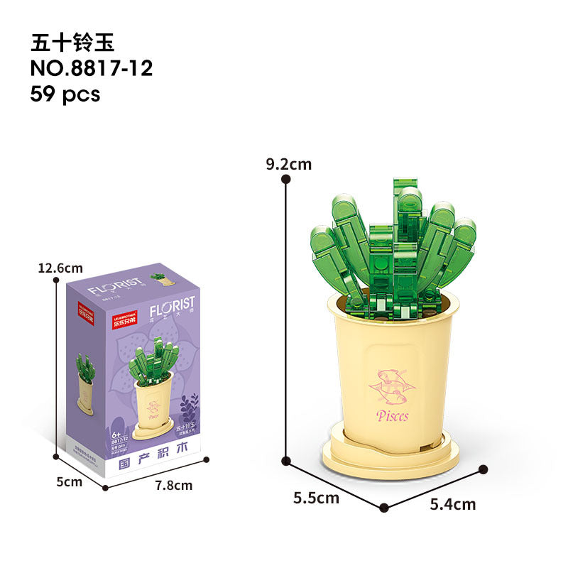 Flower Blocks-Constellation plants