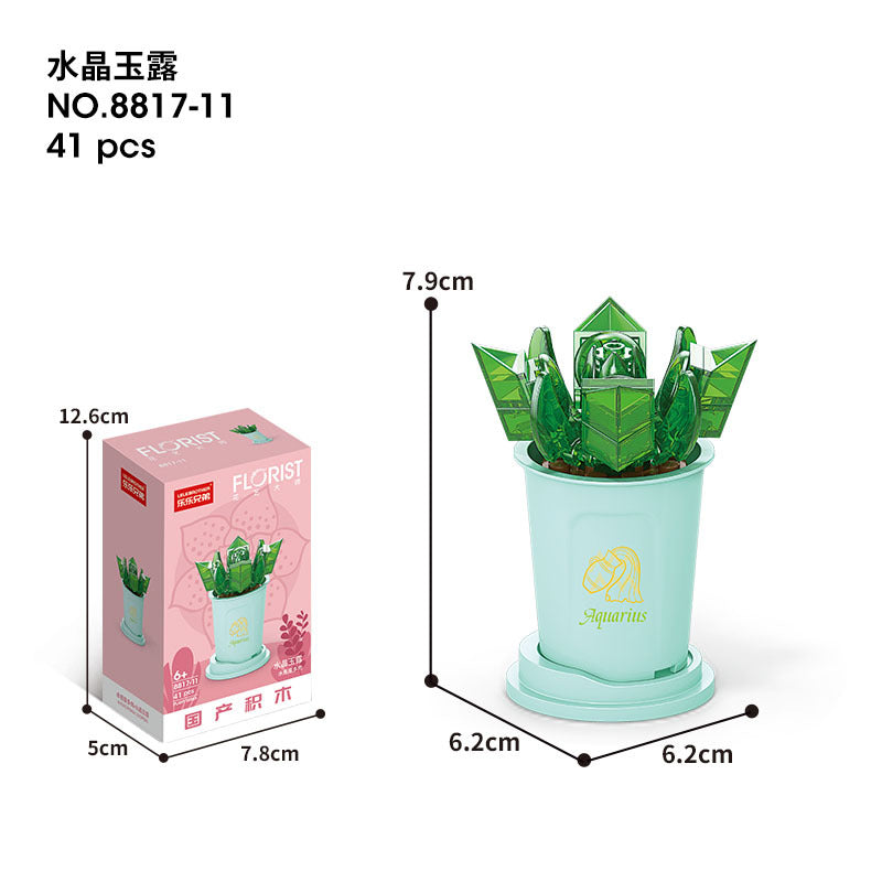 Flower Blocks-Constellation plants
