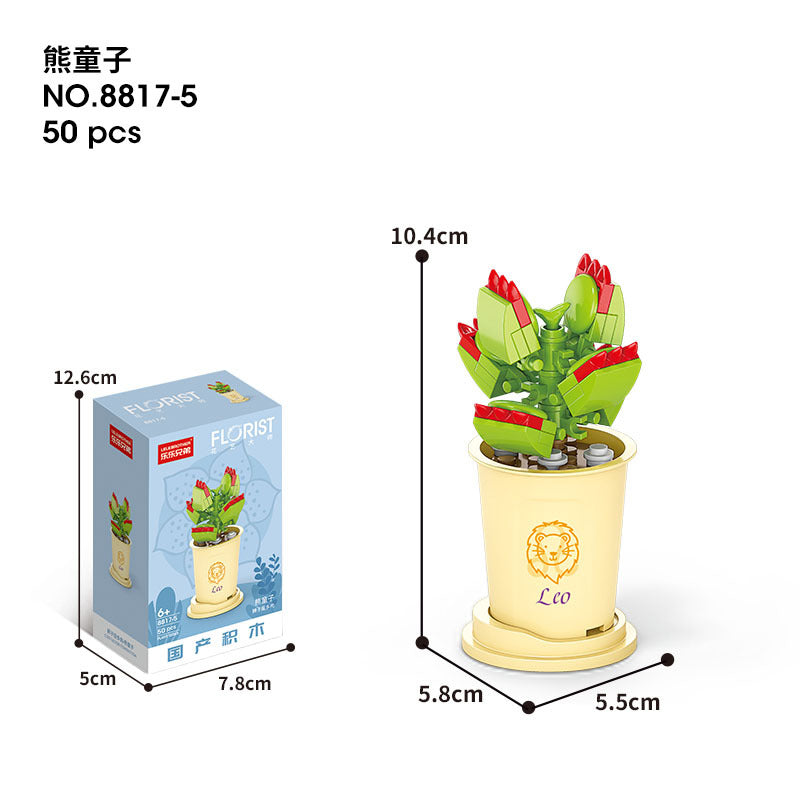 Flower Blocks-Constellation plants