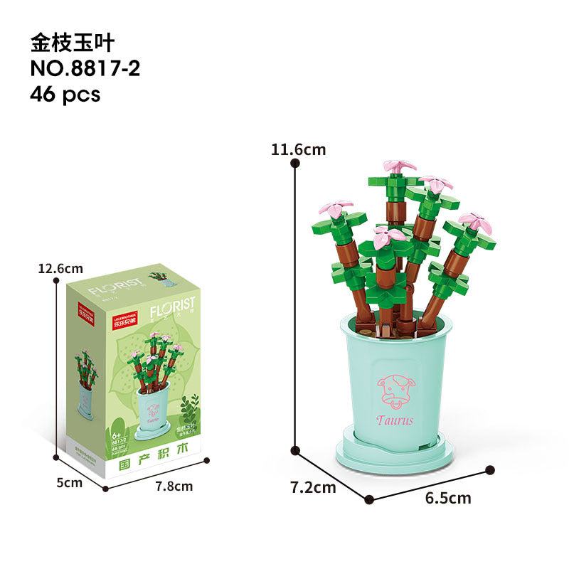 Flower Blocks-Constellation plants