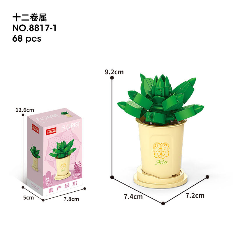 Flower Blocks-Constellation plants