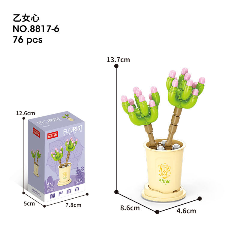 Flower Blocks-Constellation plants