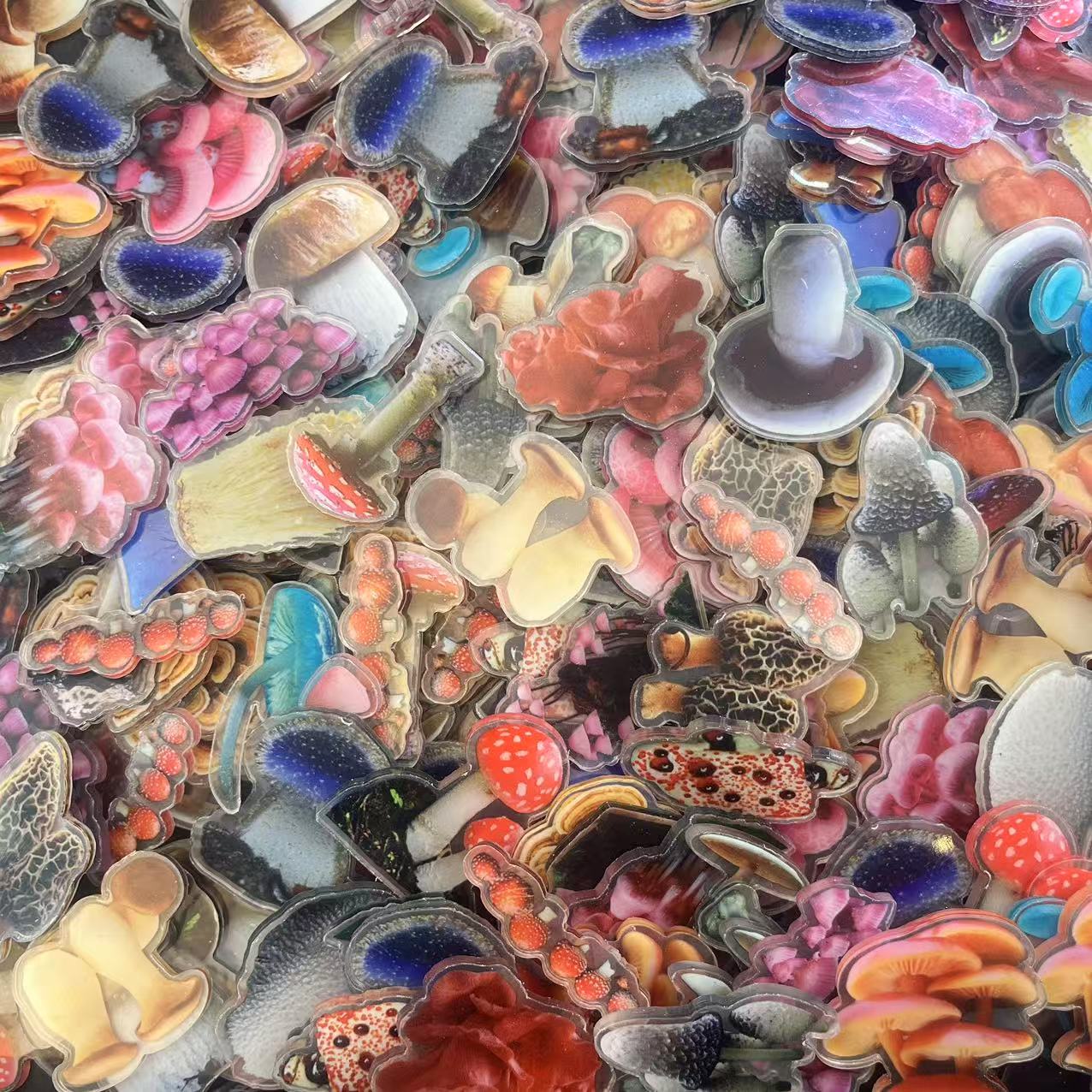 Mushrooms 4cm -Acrylic chips