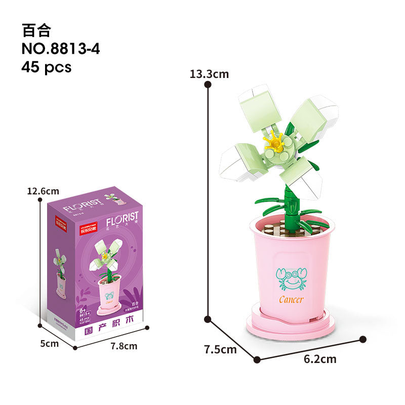 Flower Blocks-Constellation flower